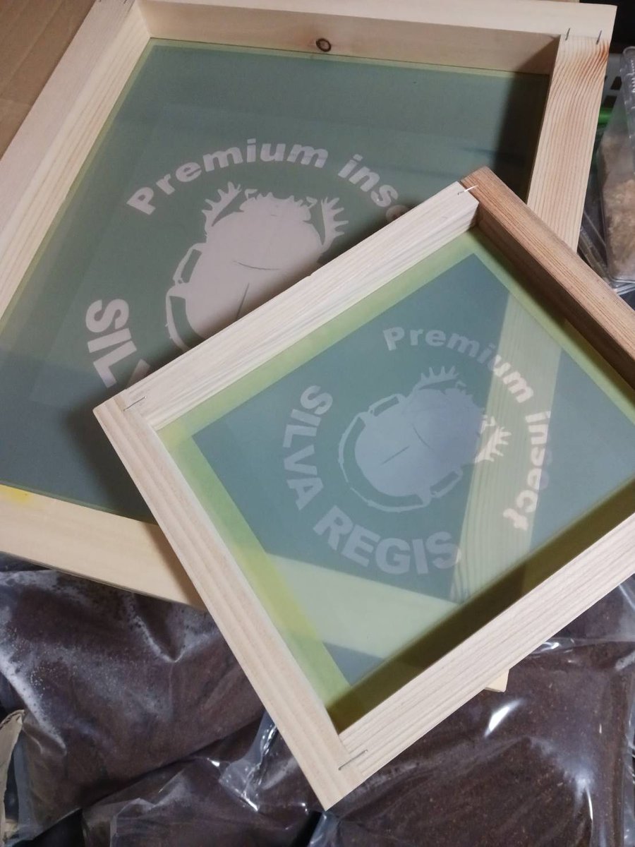 むしTシャツ tweet media