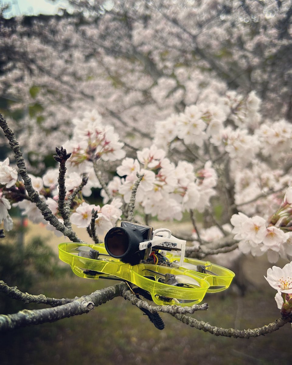 もゆもゆ@ドローン&RCヘリ tweet media