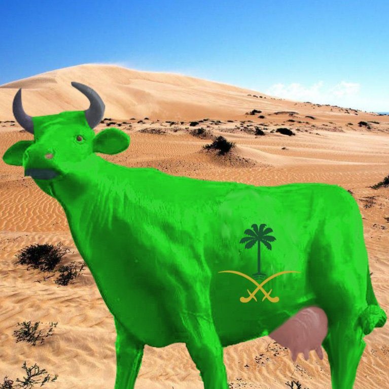 جُـــــرف الــنــصــر 🇮🇶🇮🇷 tweet media