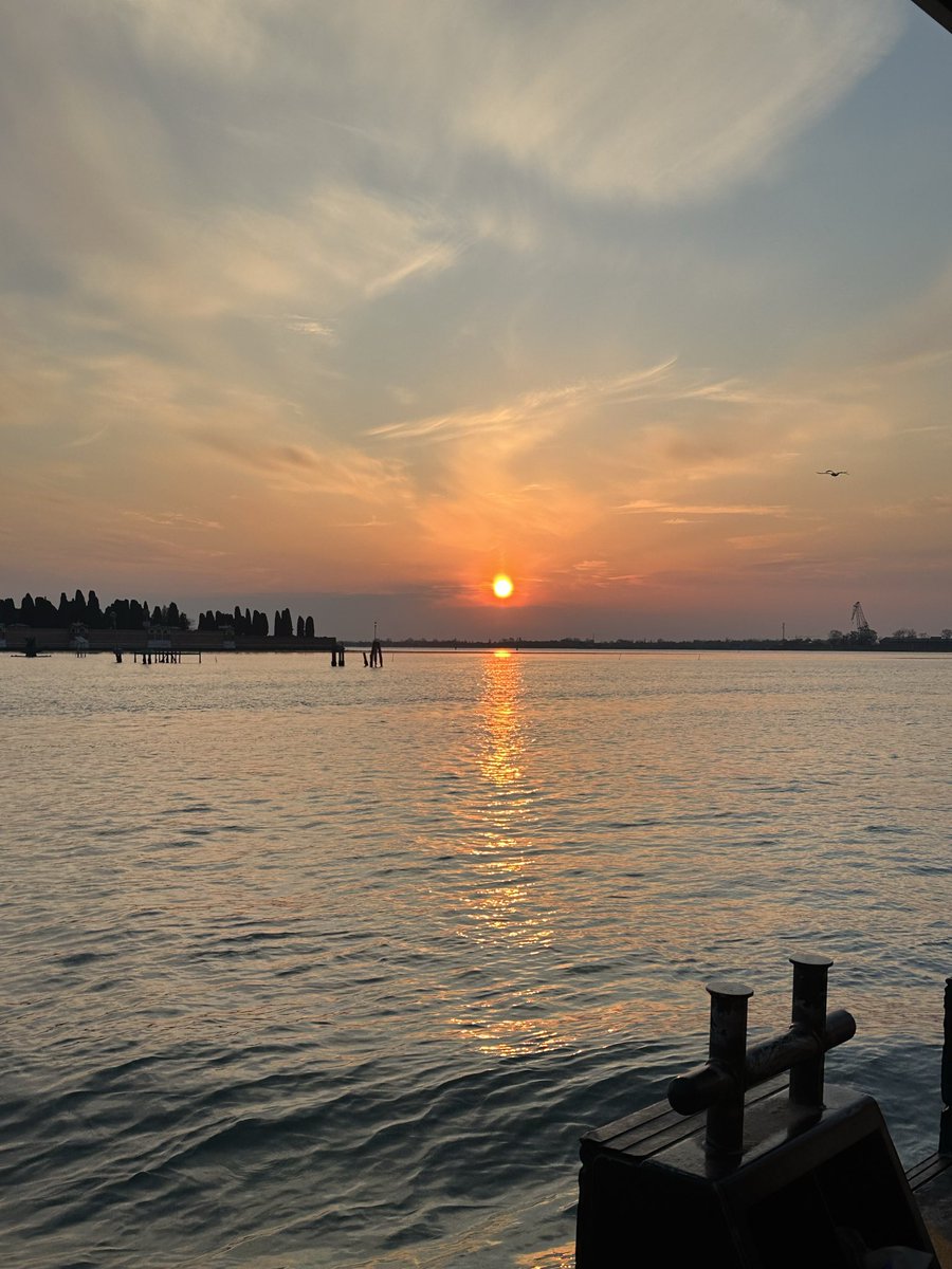 ᕈNDΔ. 🤍🐼🪽© tweet media