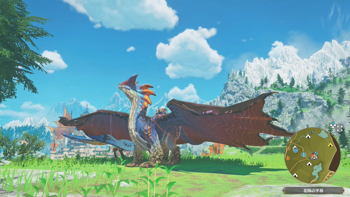 ✨Reika* tweet media