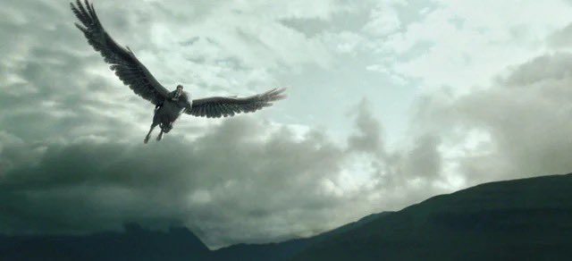 Mike Carolla tweet media