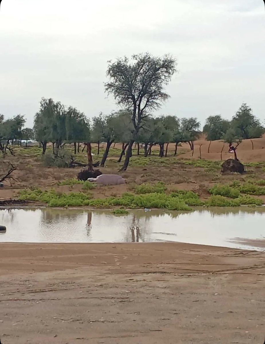 ˚♡˚ 🦌 ˚♡˚ tweet media