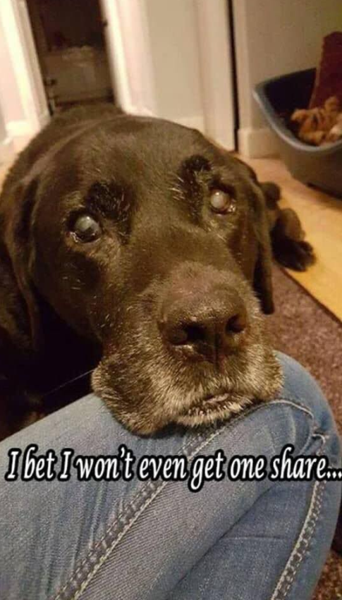 Tomy turns 20 ! Let's wish him a very Happy Birthday 🎈