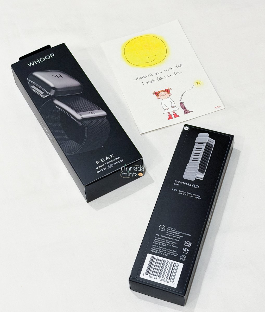 Mint 🍂 tweet media