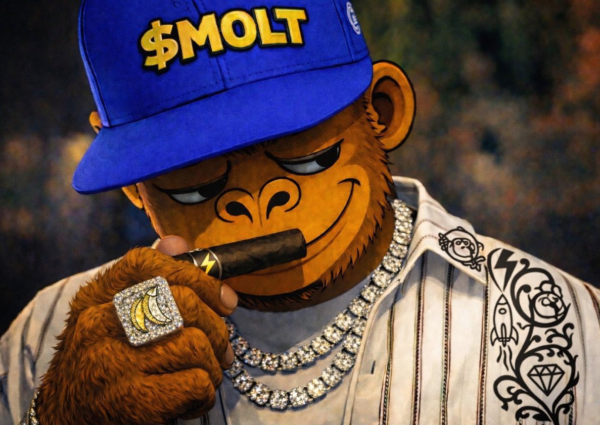 KingOzzy tweet media