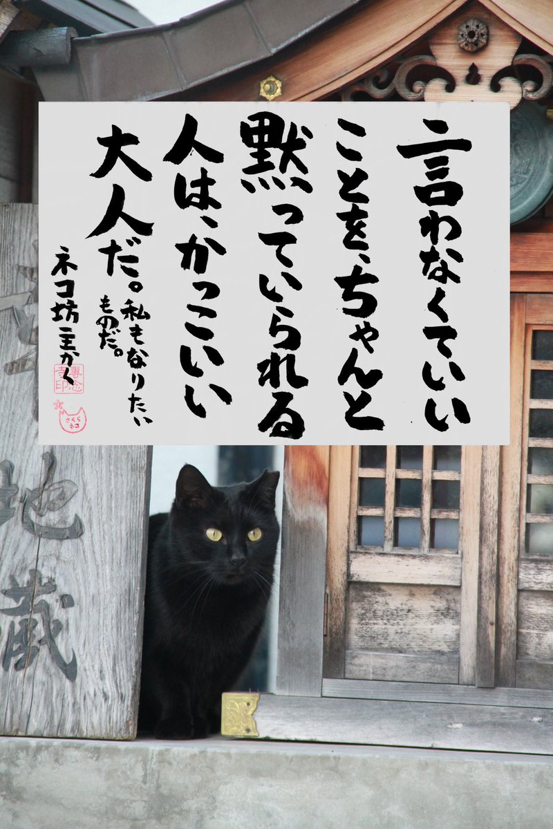 専念寺/ネコ坊主 tweet media