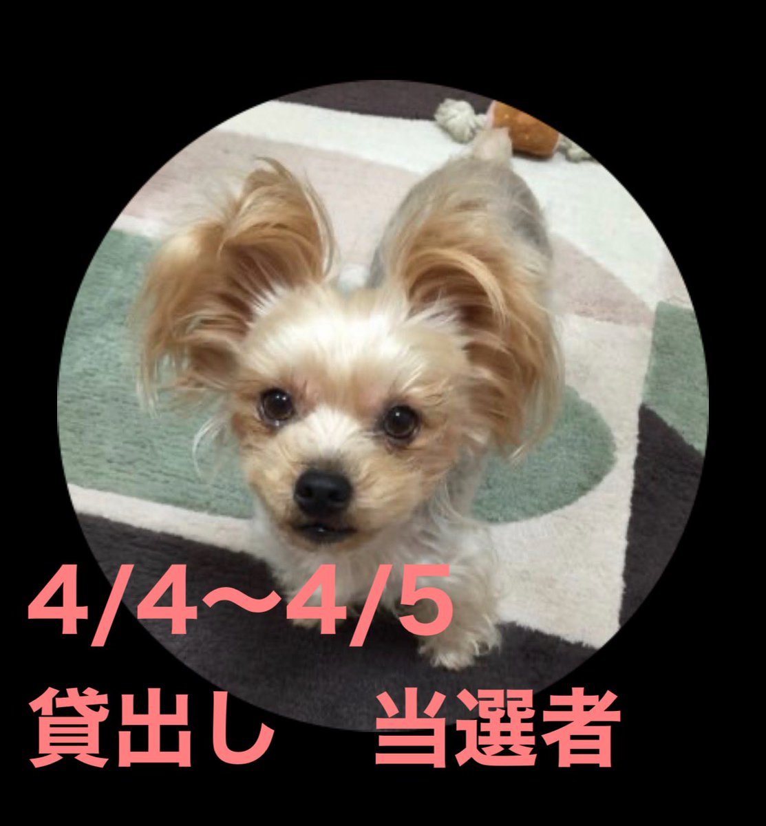 son@サブ垢 tweet media