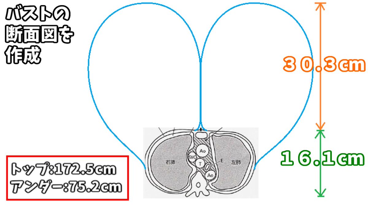 Replictica tweet media
