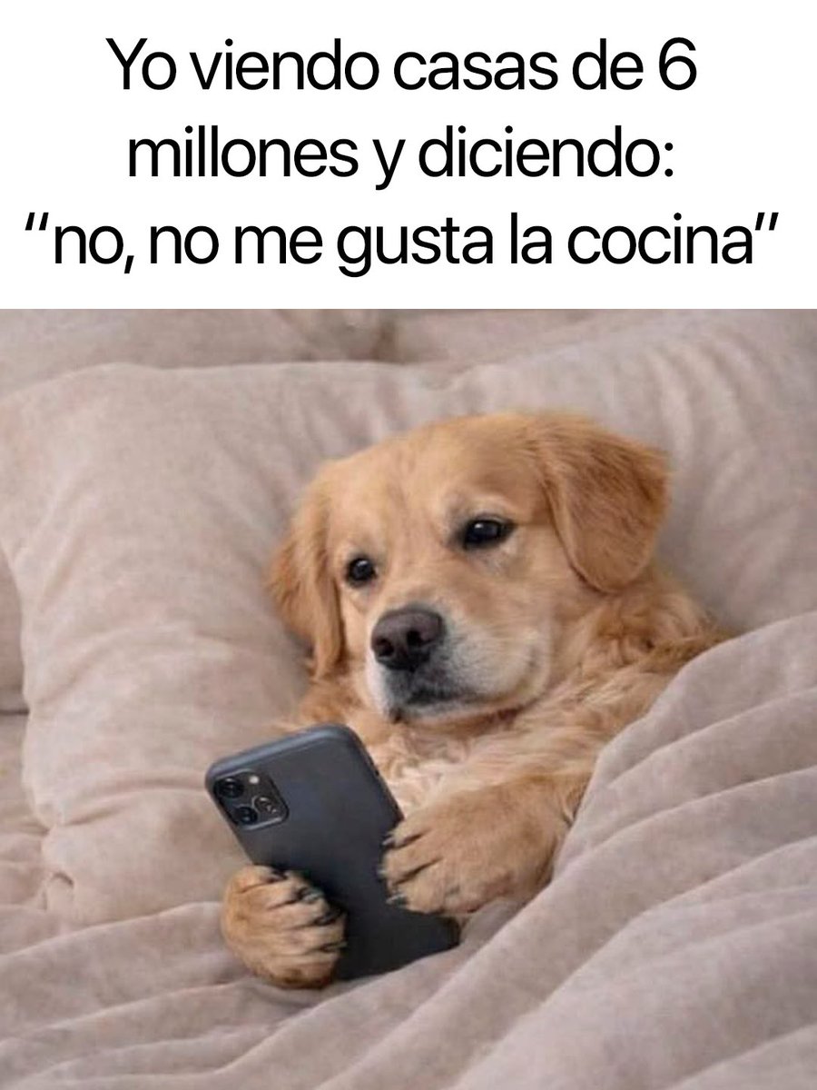 Cabronazi tweet media