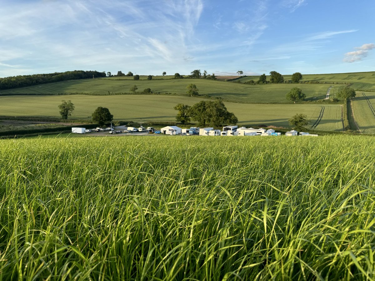 Hugh Jackman tweet media