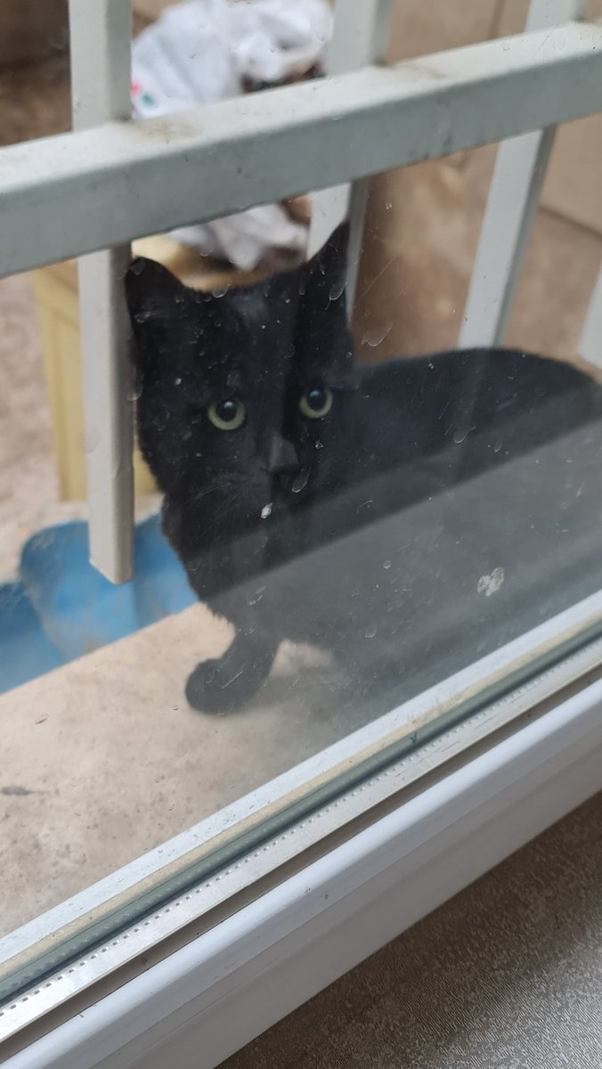 Ashen one tweet media