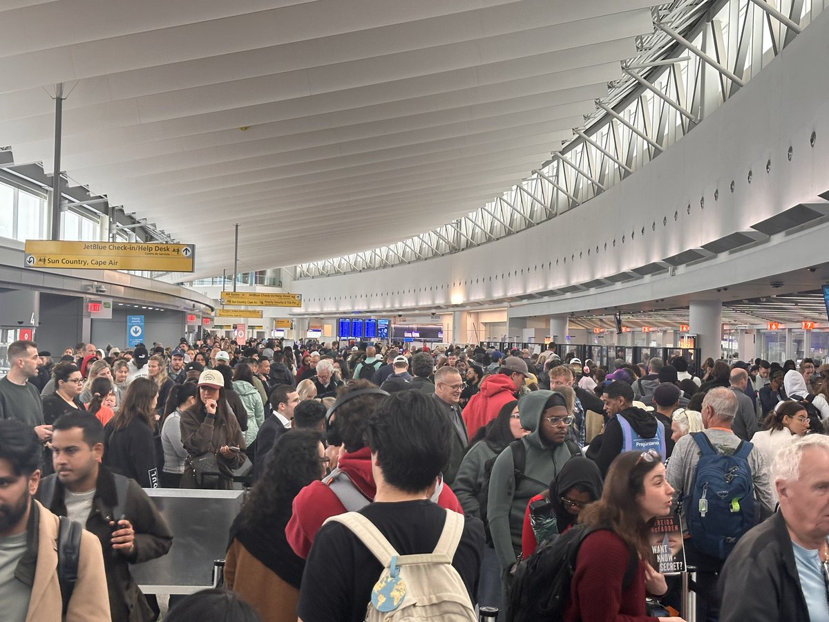 Steven Bognar tweet media