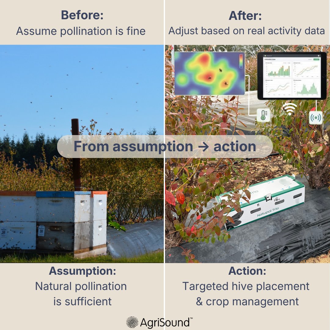 AgriSound tweet media