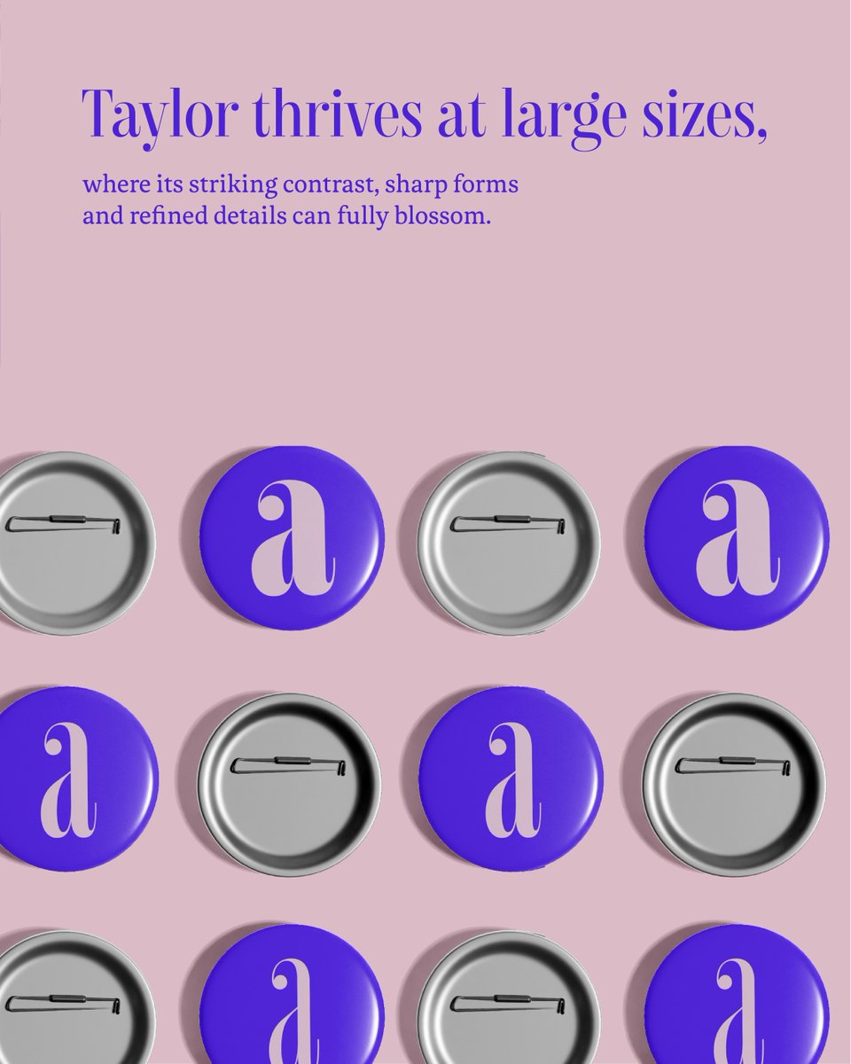 Type Network tweet media