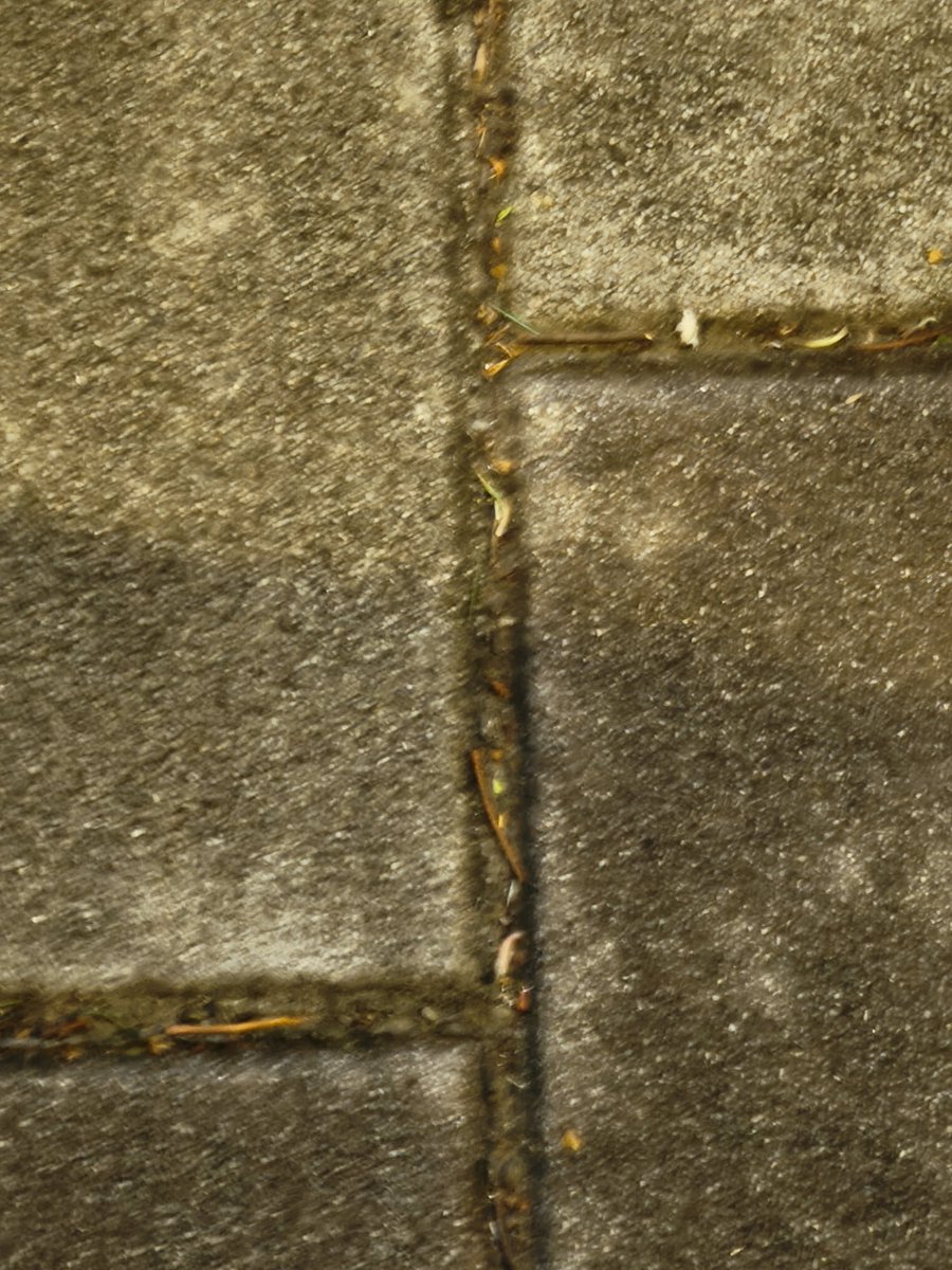 Aegleseeker tweet media