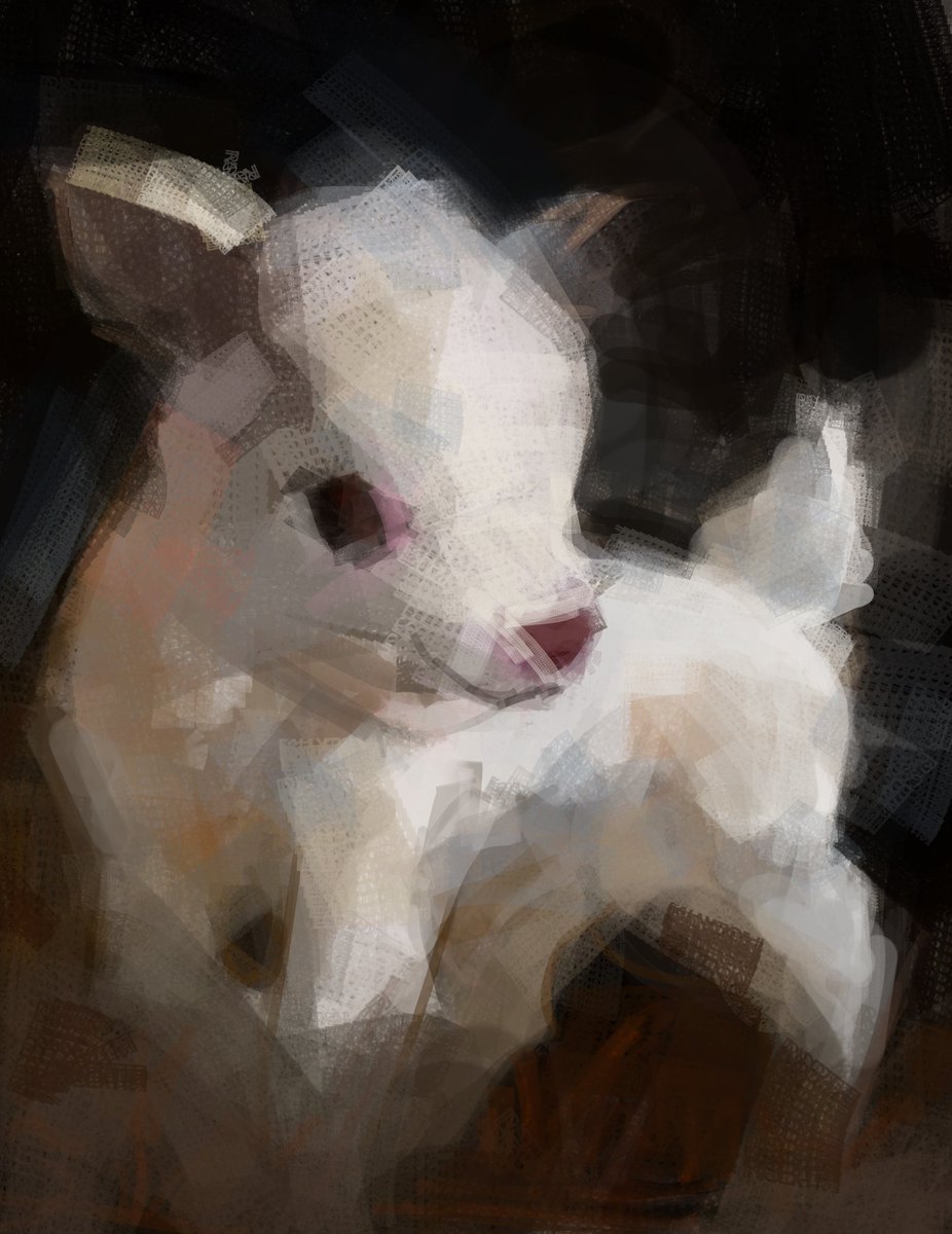 fransbArt tweet media