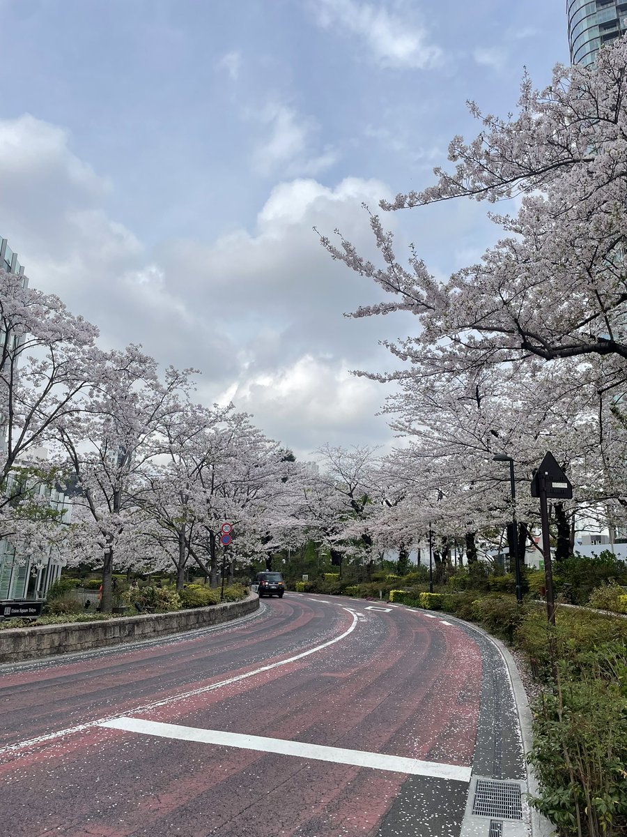 bam๐ฐ tweet media