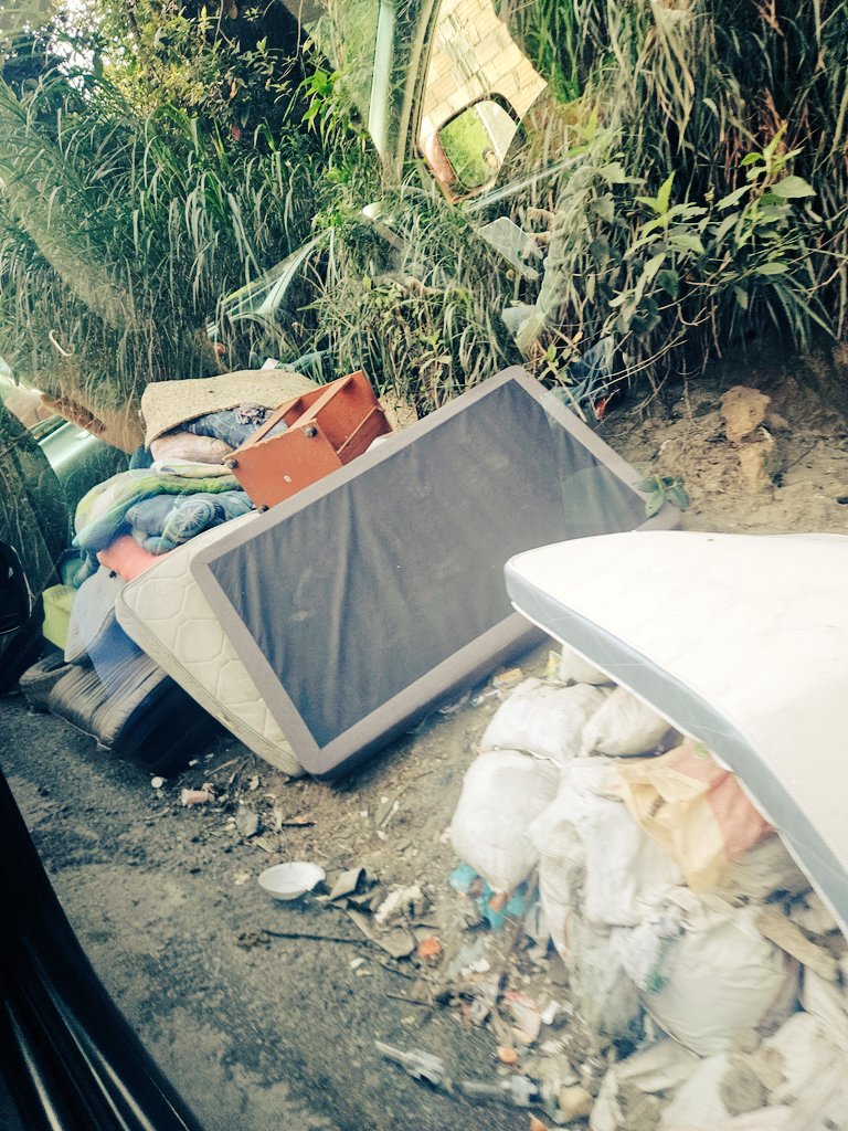 RE'UVEN en Hebreo tweet media