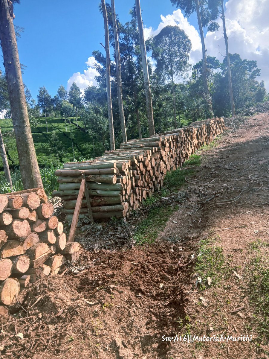 Embu Car Deals🗨 tweet media