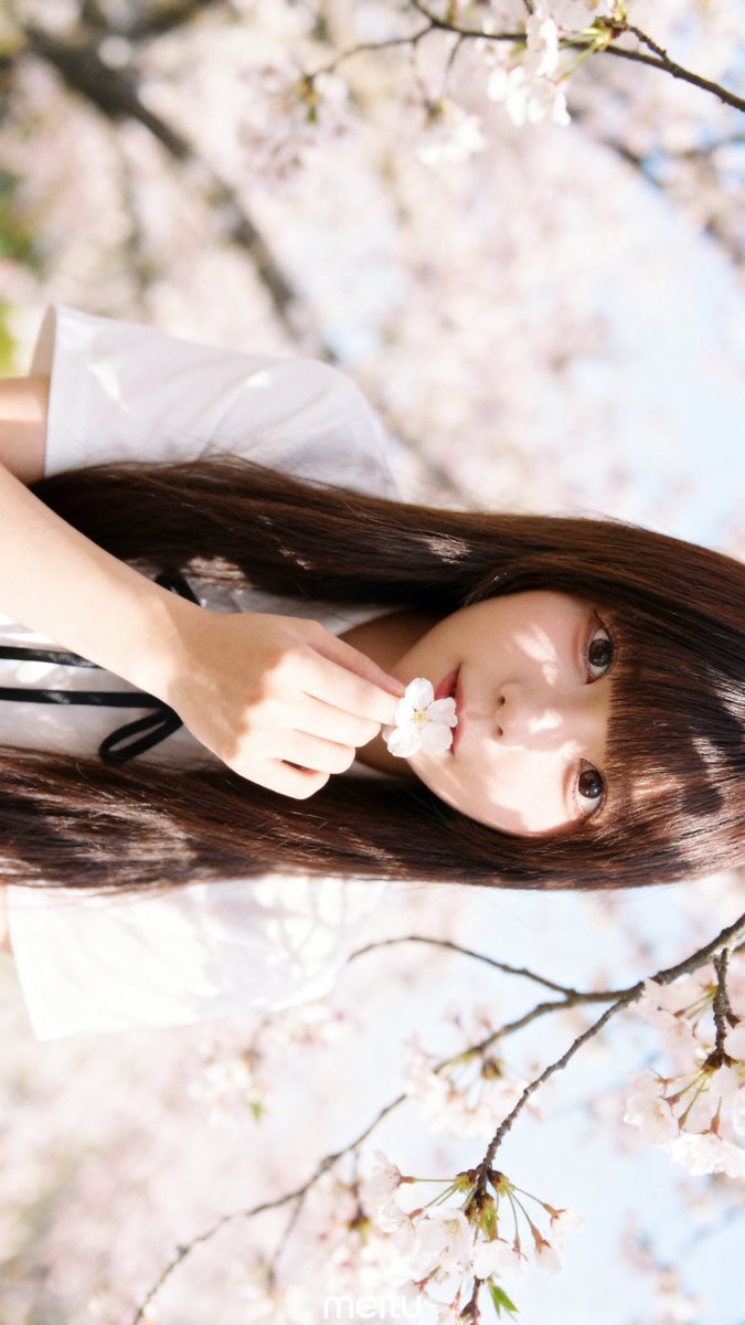 うえだ あむ🐨4/26生誕祭 tweet media