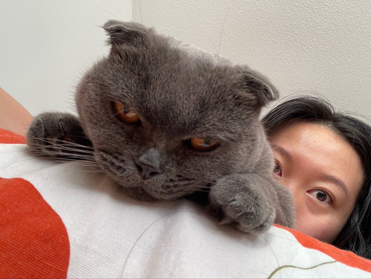 Pearl Grey 🩶 tweet media