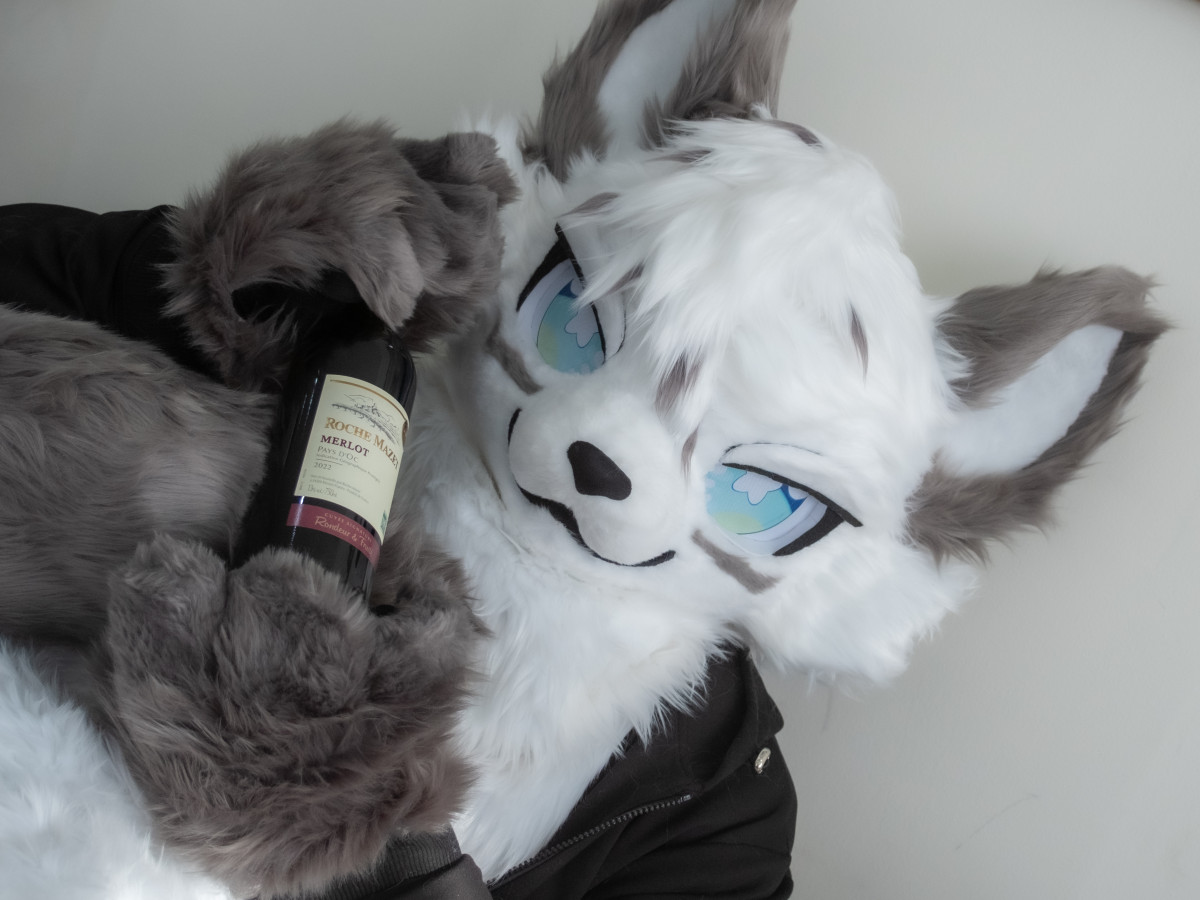 조장 TL 🔜 FurstClass tweet media