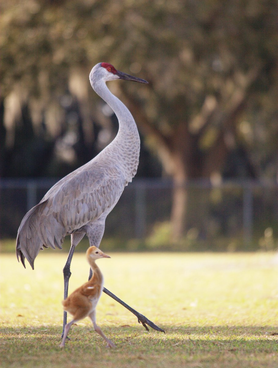Jennifer Thomas tweet media