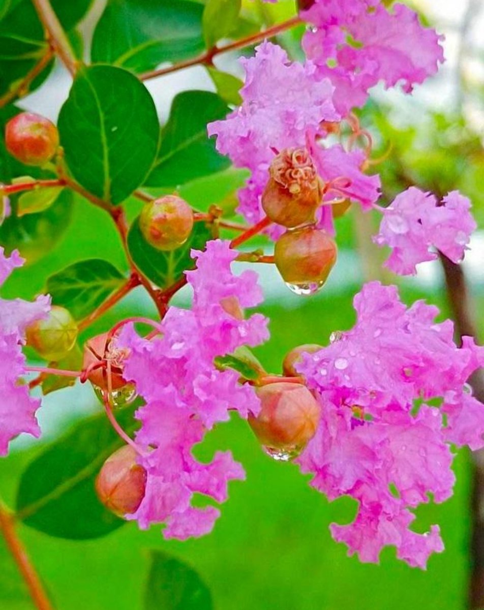 Mark Smith tweet media