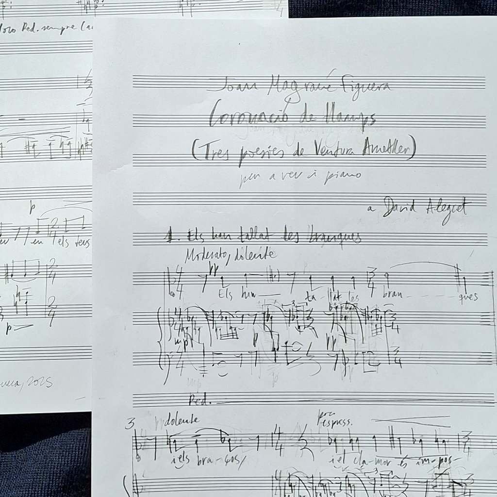 Joan Magrané Figuera tweet media