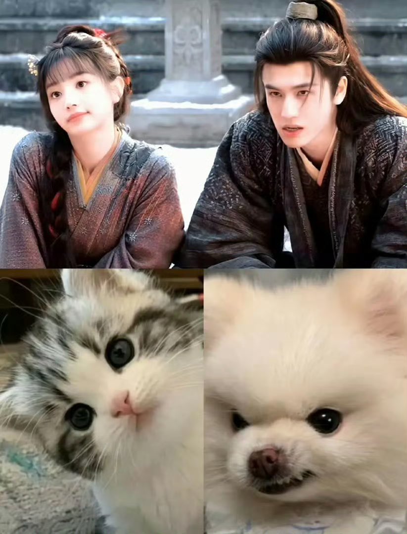 숭아 ⁽ᵕ̈⁾ ́ tweet media