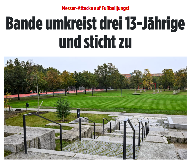 NoeWehrtSich tweet media