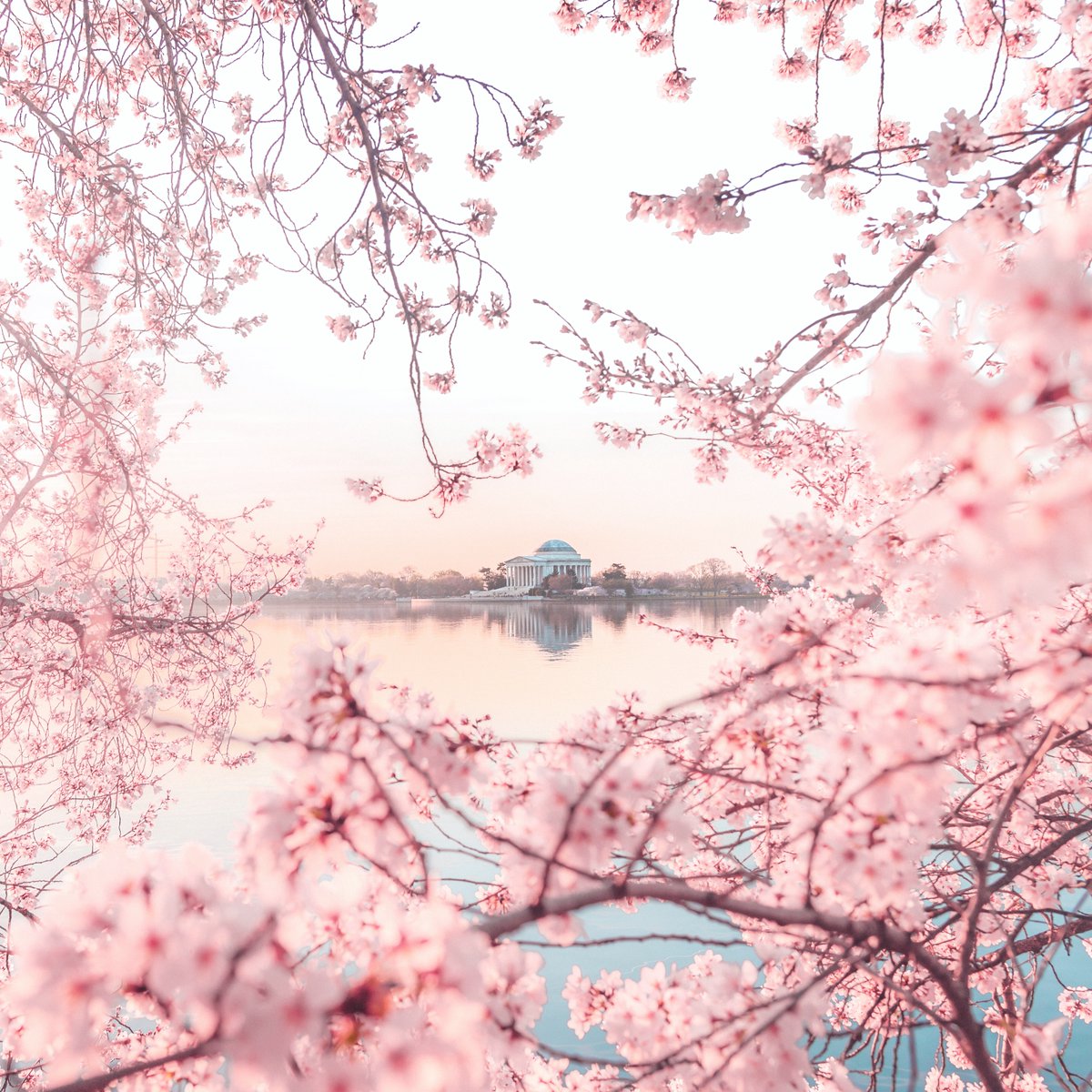 Andy Feliciotti 🔥 tweet media