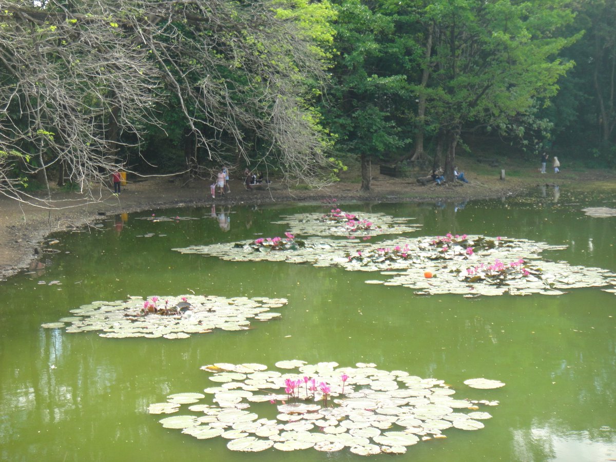 marg.jpg tweet media