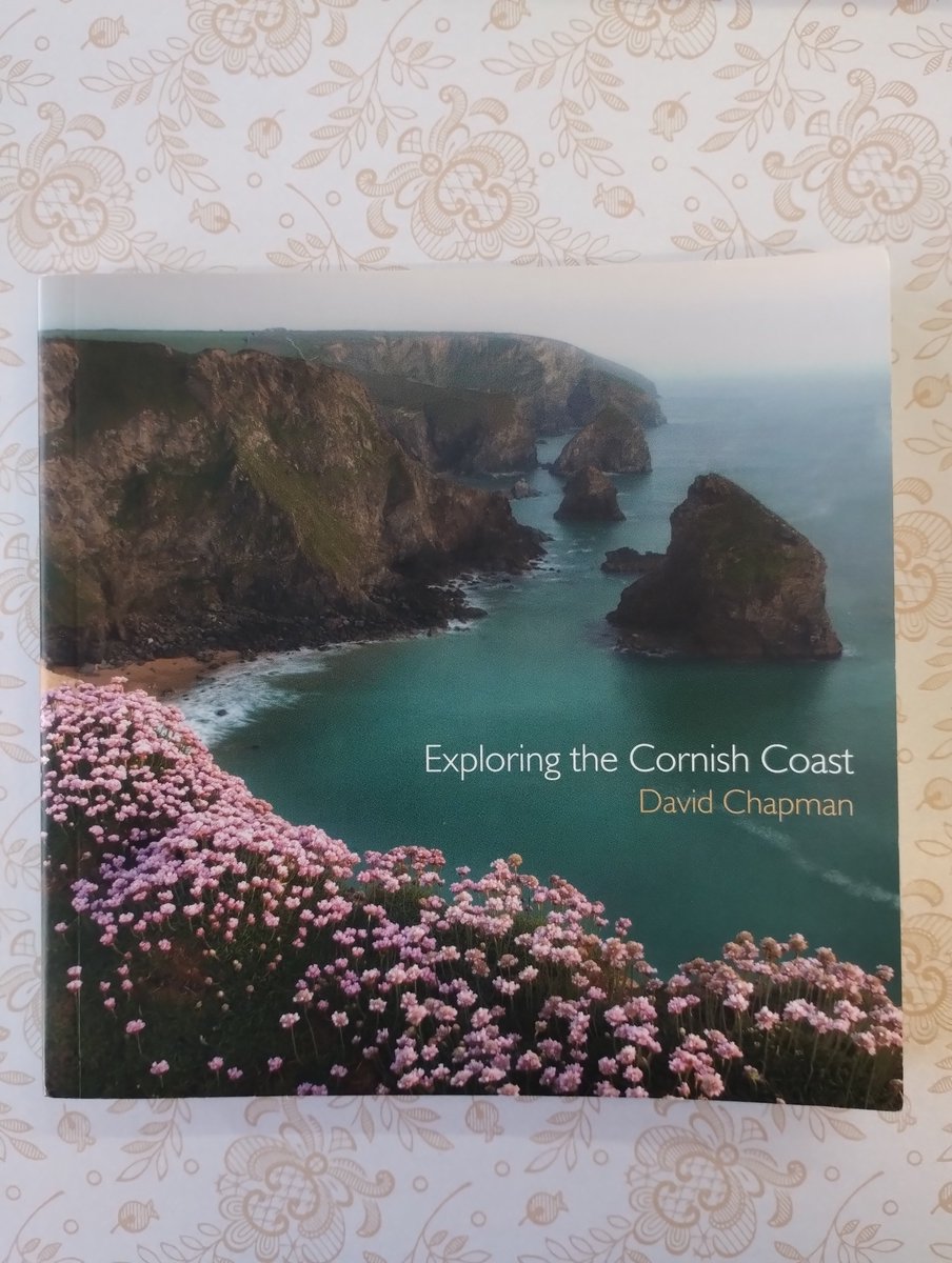 Katrina Rotgalve tweet media