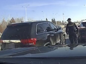 OPP East Region tweet media