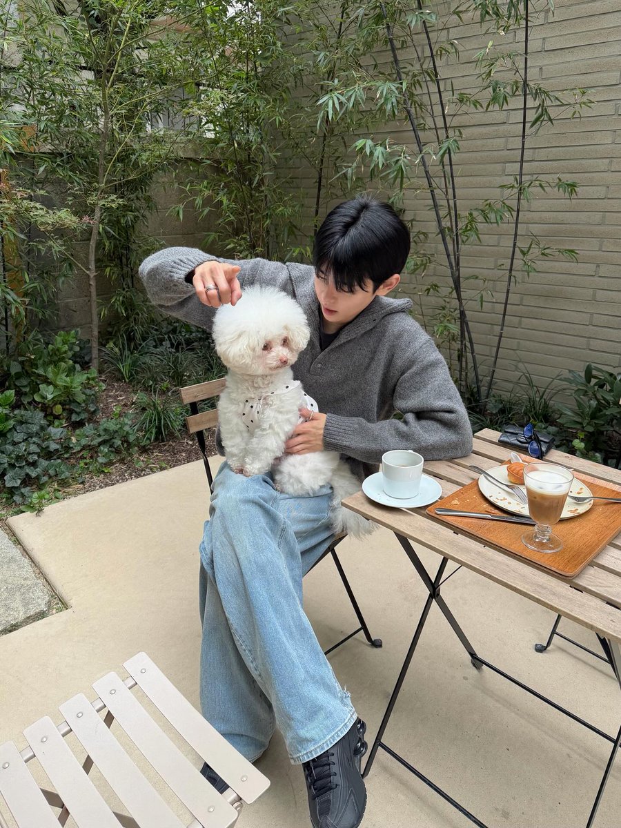 ' 𝐆𝐔𝐍 tweet media