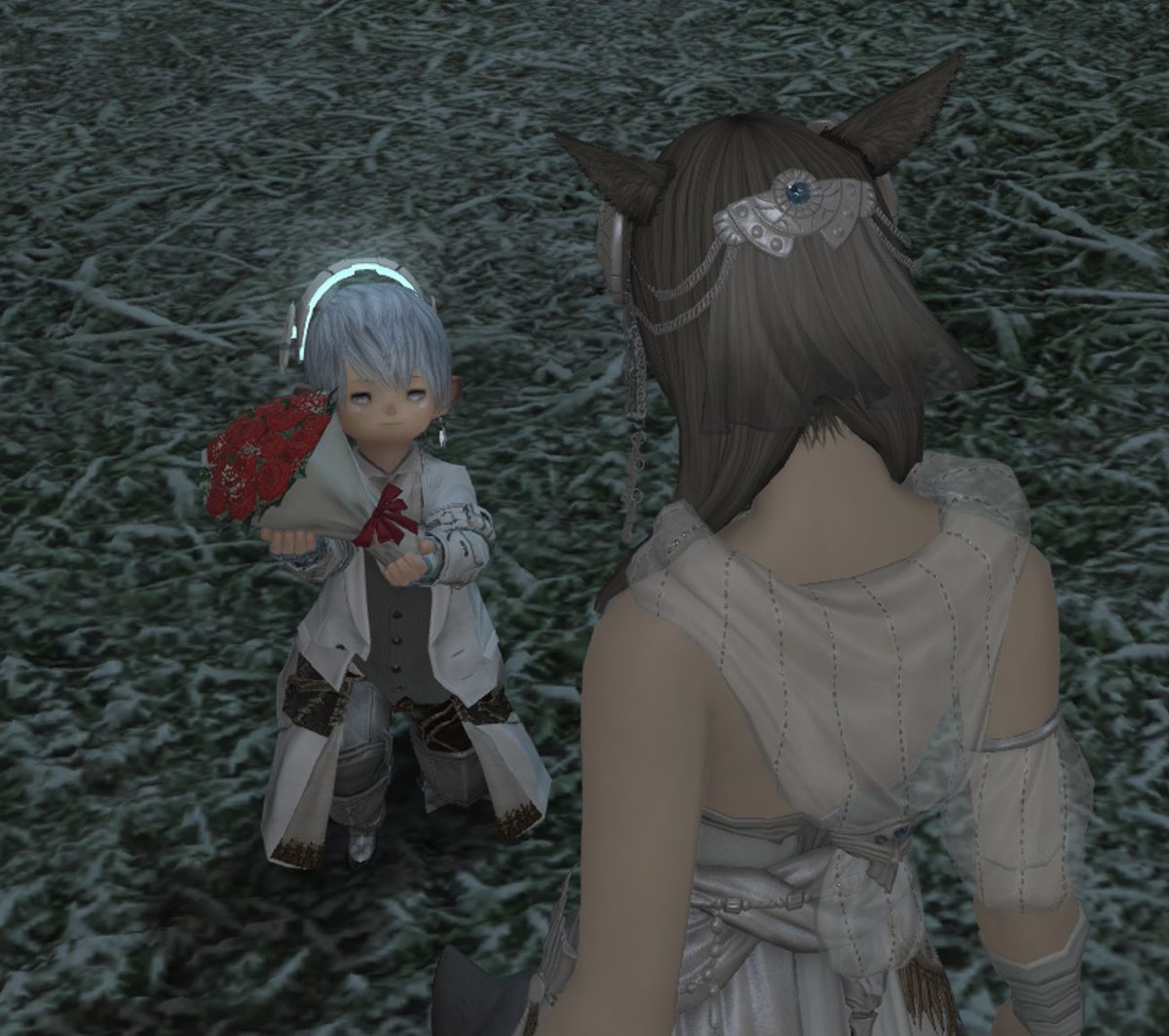 ౨ৎ ⋆｡˚ tweet media