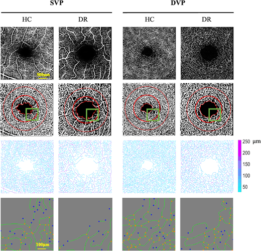 TVST Journal tweet media