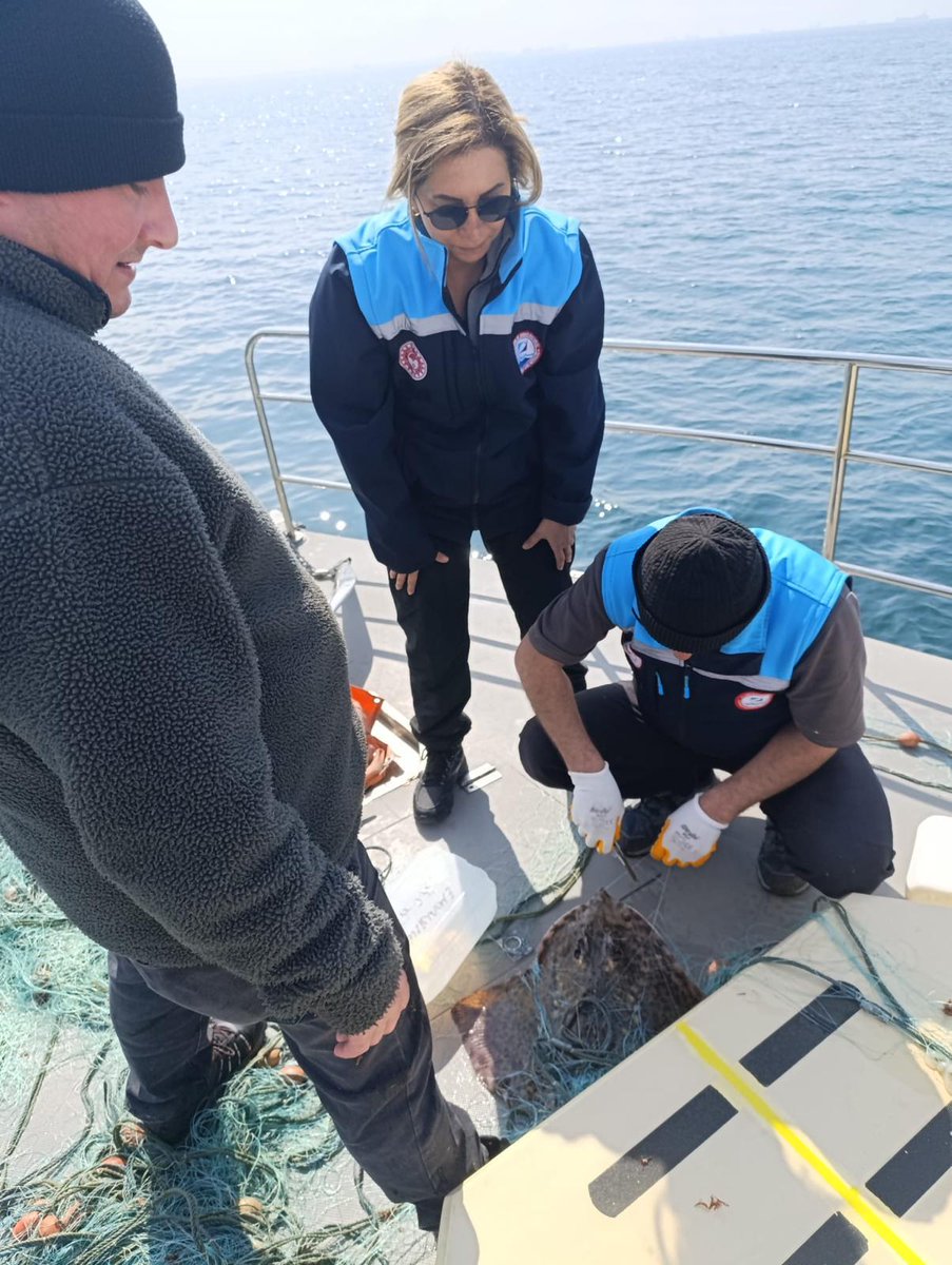 İstanbul İl Tarım ve Orman Müdürlüğü tweet media