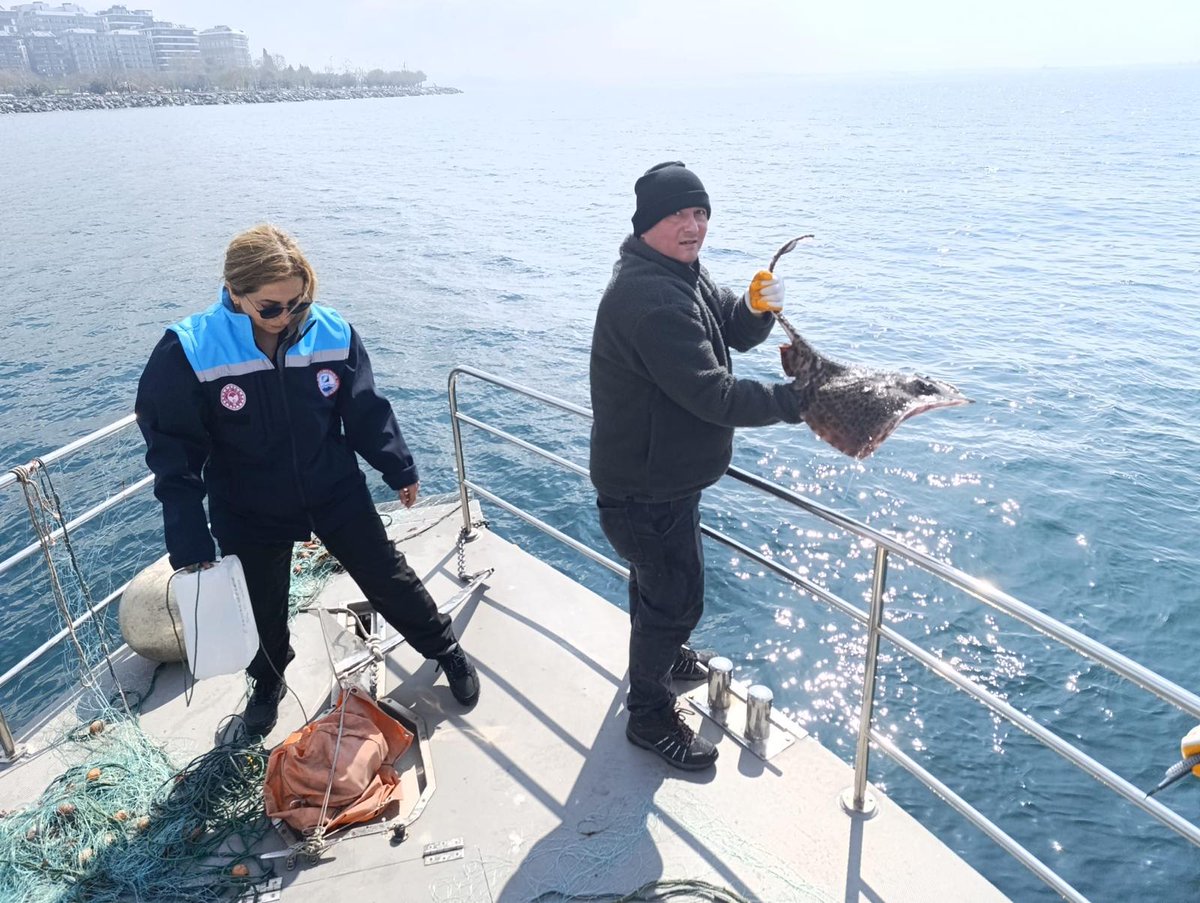 İstanbul İl Tarım ve Orman Müdürlüğü tweet media