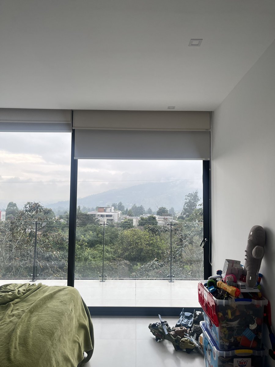 milu 💌 tweet media