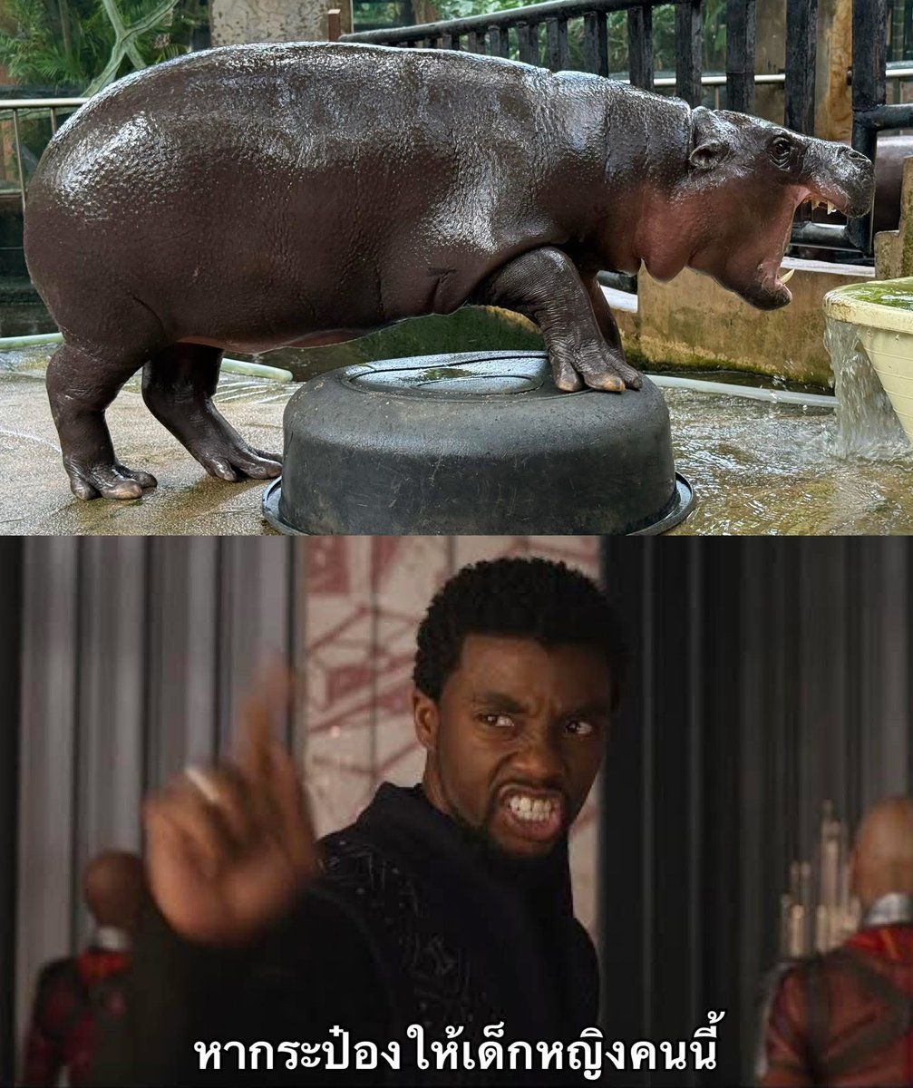 Khamoo.andthegang tweet media