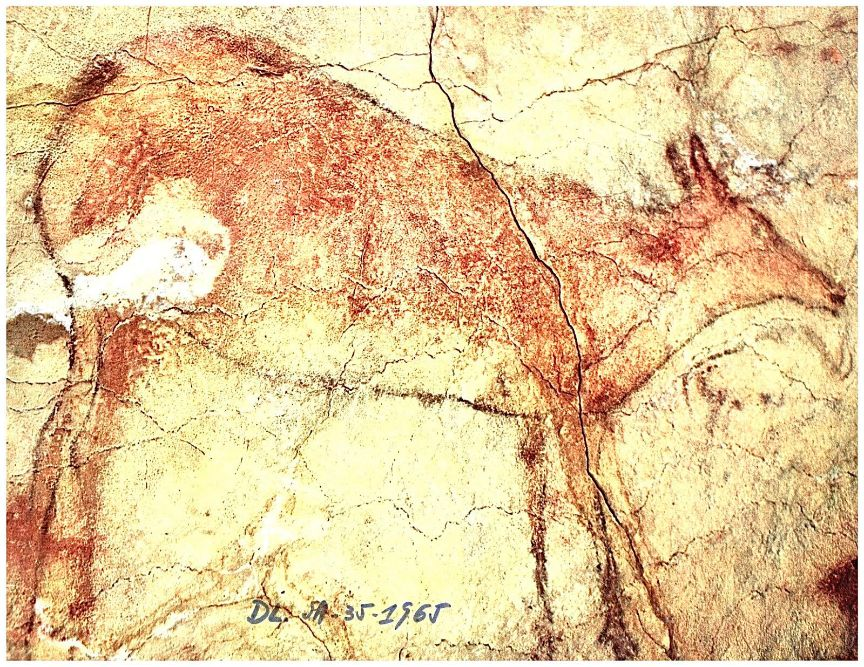 Ministerio de Cultura tweet media