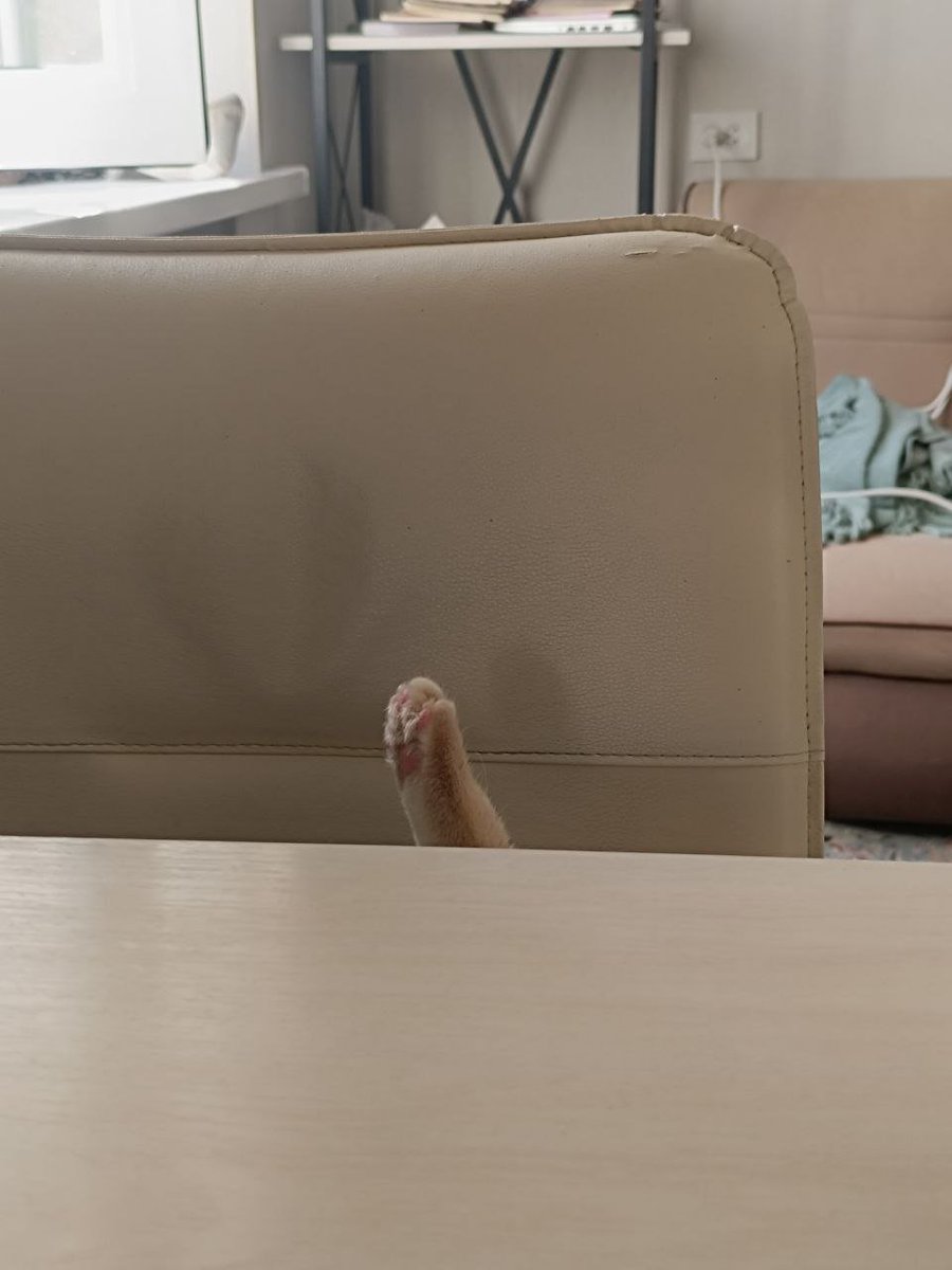 Fierce в Ташкенте (снова сбор на реставрацию окон) tweet media