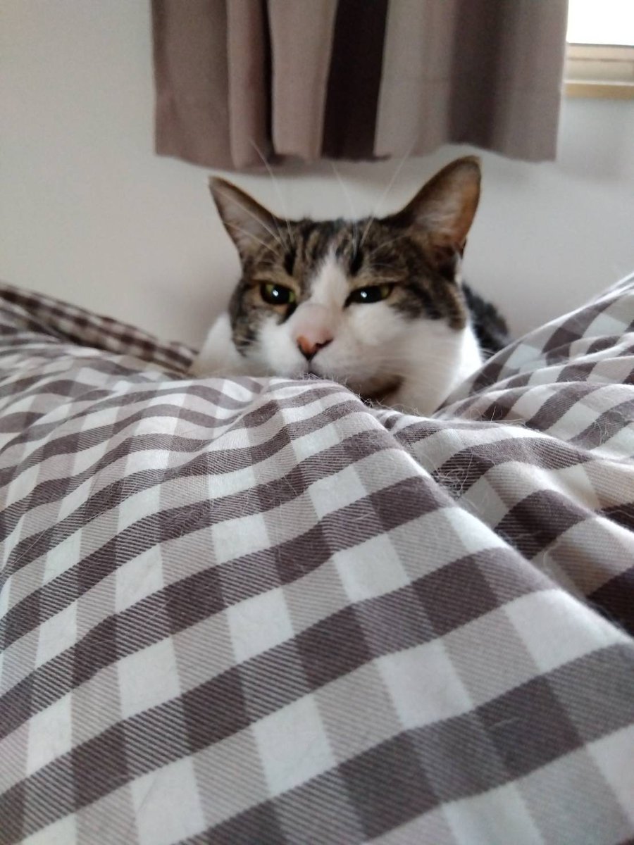 nao うつ病アカウント tweet media