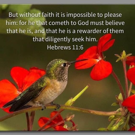 Catherine ♡ =^..^= tweet media