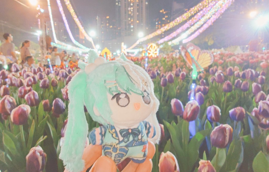 快閃維園花卉展
1：比要進來了
2：里唔起度
3：哈！？
4：偶像登場？
#有色芝士