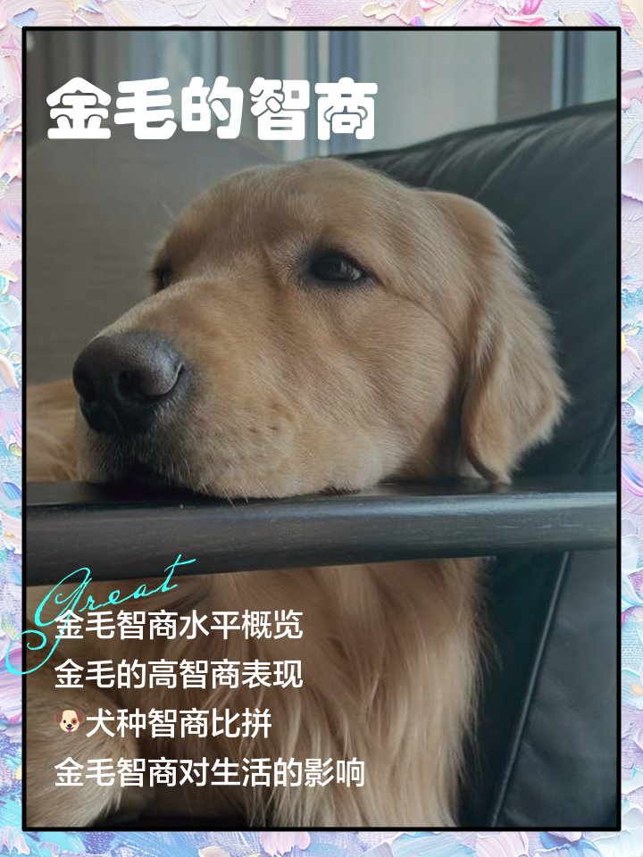 Alexander tweet media