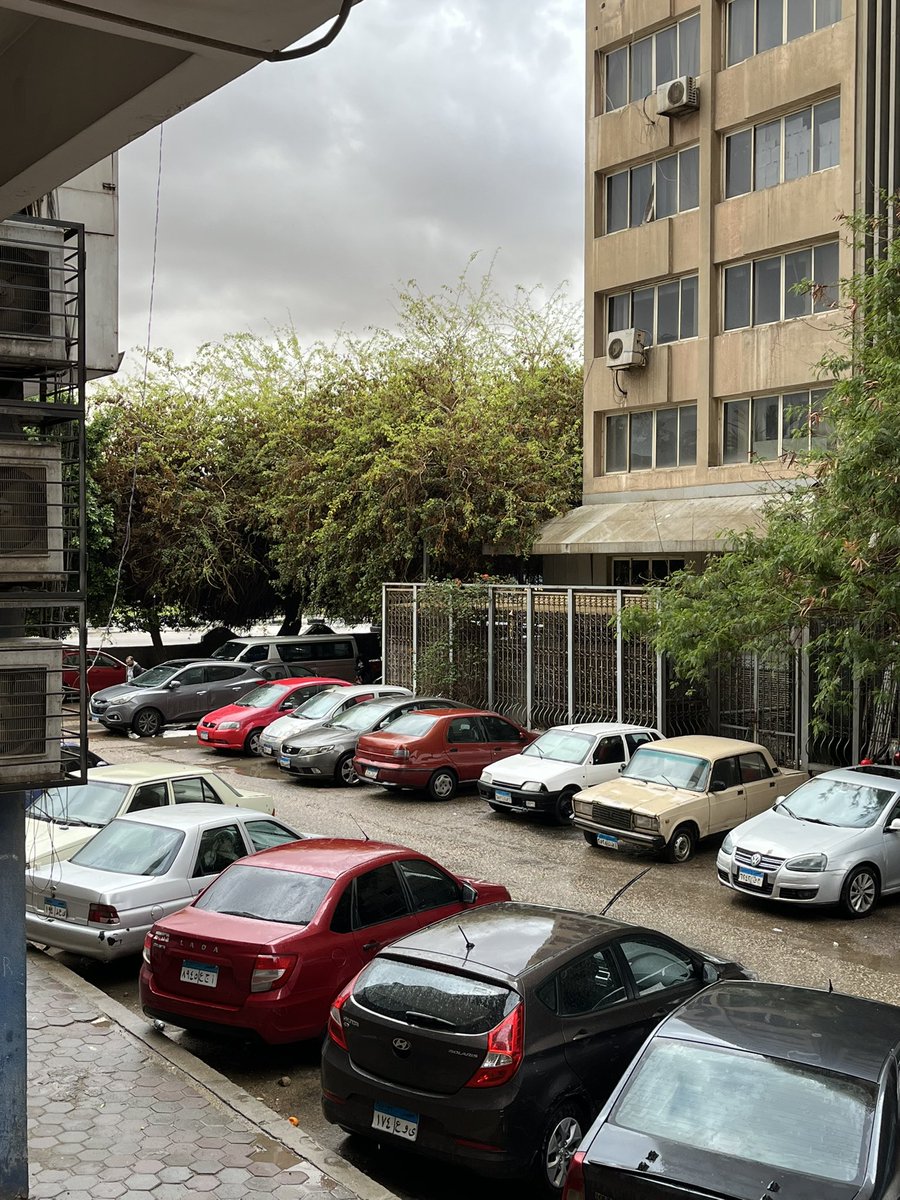 آلاء tweet media